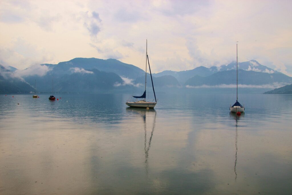 uta scholl b1k0I5sL6UI unsplash